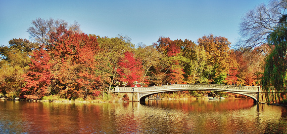 " Fall Season " The Bow Bridge in Central Park